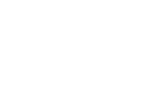 VEV TRAVELS